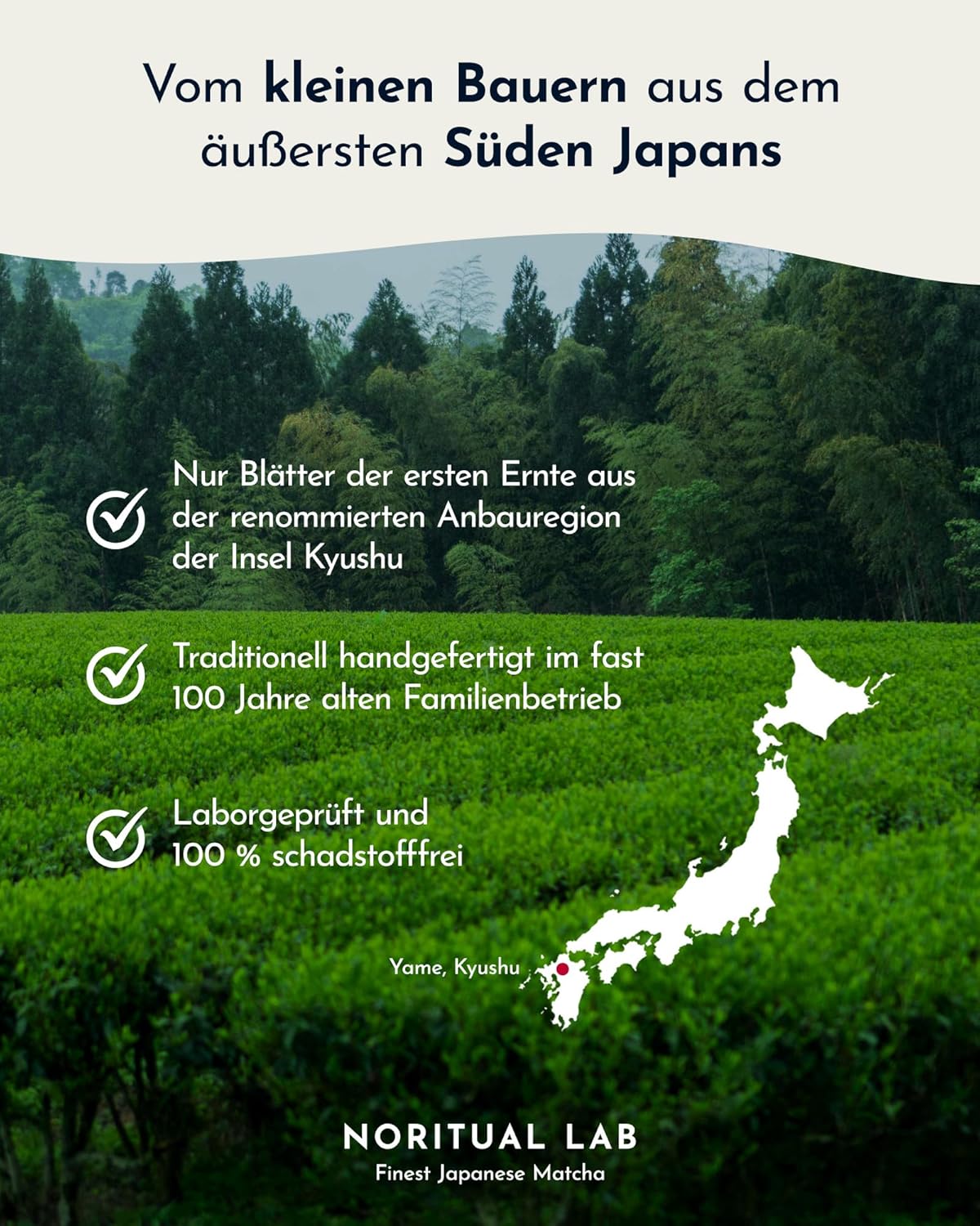 Ceremonial Matcha - Pure Green Tea Powder from Japan - Original Japanese Tea of the First Harvest - Highest Quality - 100% Natural & Laboratory Tested - Image 4